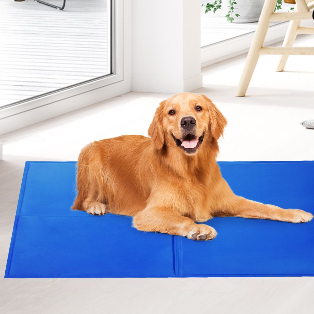 2X Pet Cooling Gel Mat Dog Bed Cat Beds Non-Toxic Cool Pad Puppy Summer 65x50