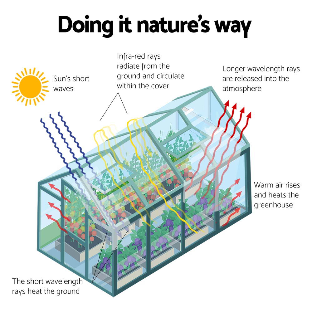 Green Fingers Greenhouse 6.3x2.44x2.1M Aluminium Polycarbonate Green House Garden Shed