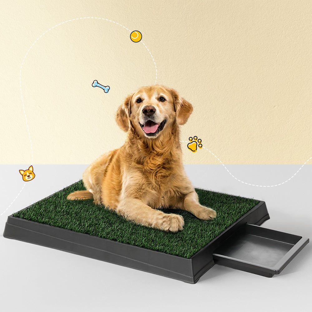 i.Pet Pet Training Pad Dog Potty Toilet Large Portable With Tray Grass 2 Mats