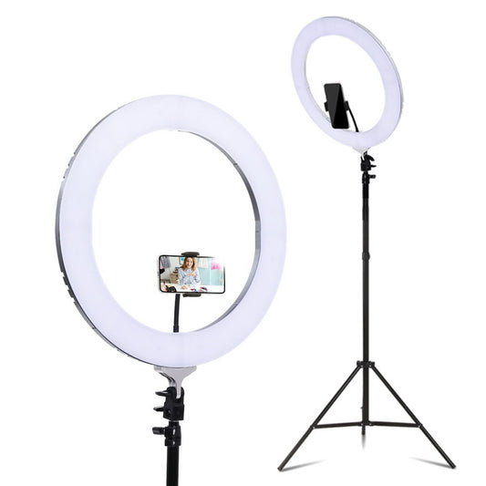 19 LED Ring Light 6500K 5800LM Dimmable Diva With Stand Make Up Studio Video