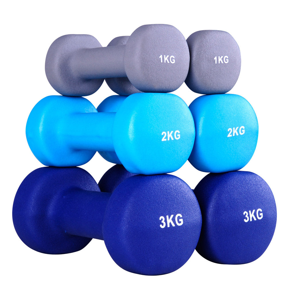 Everfit 6 Piece Dumbbell Weights Set 12kg with Stand